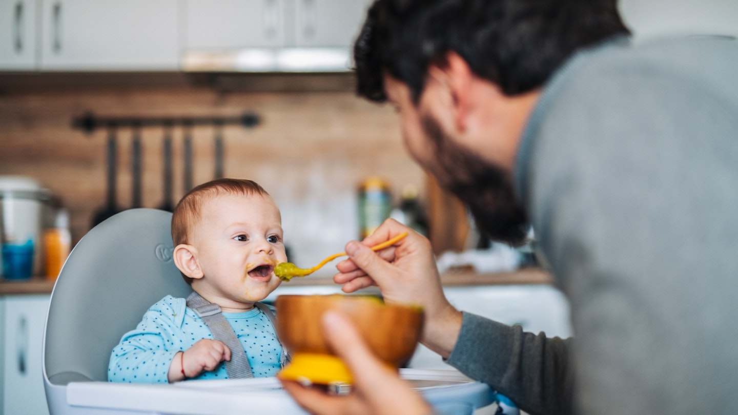 baby puree combinations weaning
