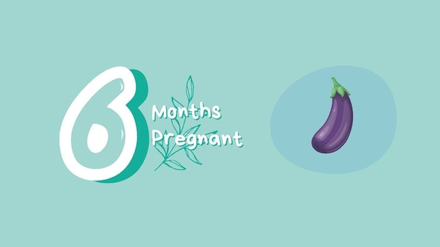 6 months pregnant with aubergine for scale