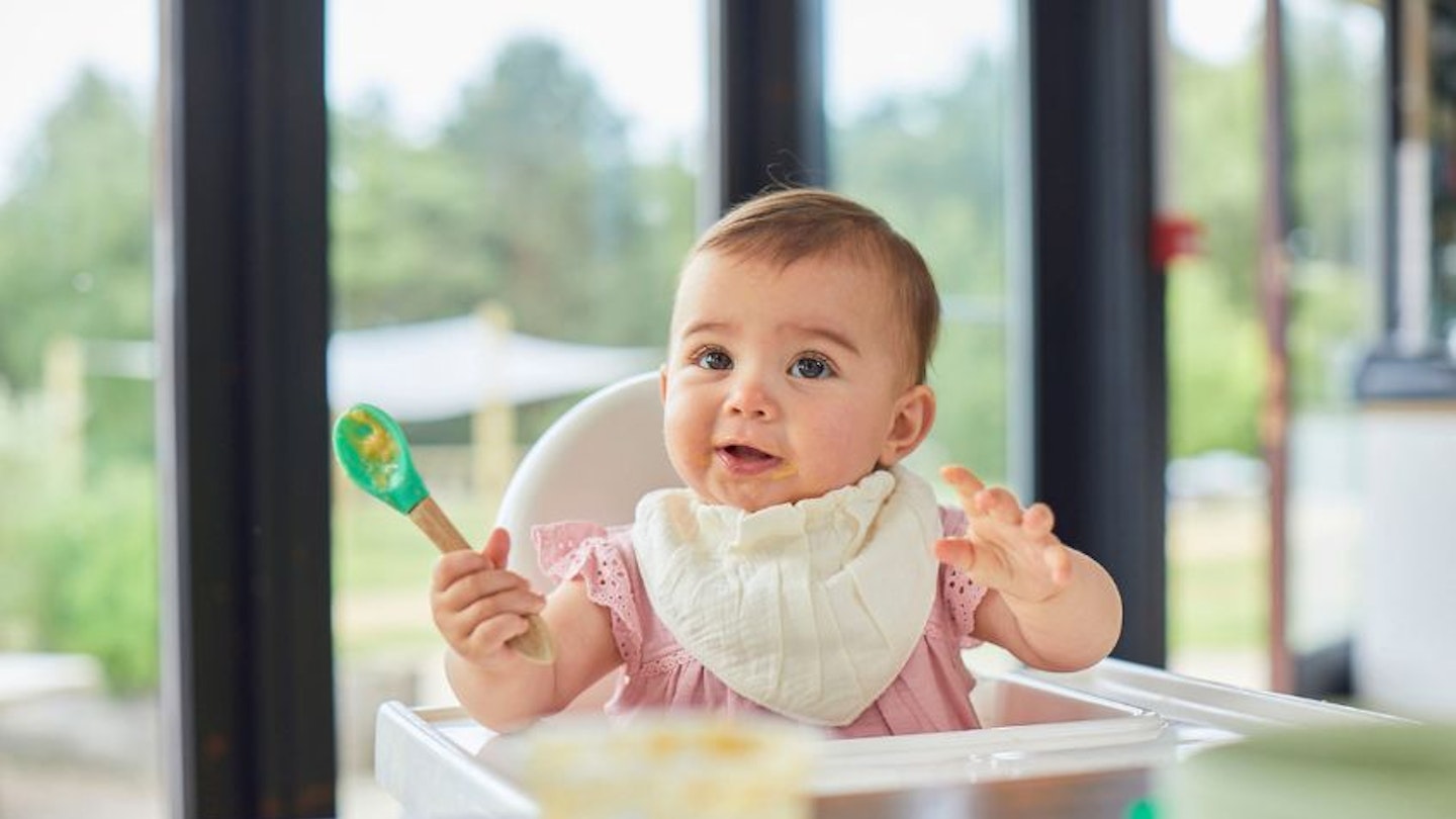 Organix a-z food weaning